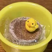 ぴ