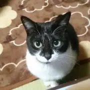 てぃの画像