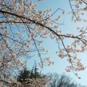 みっちぃ