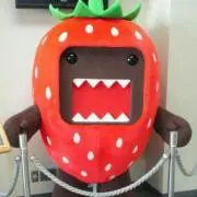わたみ