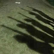 はちみつはにー プロフ必読