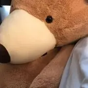 りゅうの画像