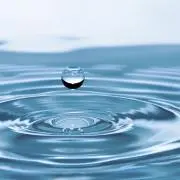 まにに