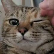 ももなの画像