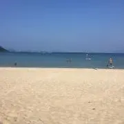 yamaの画像