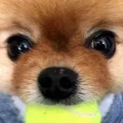イリーの画像