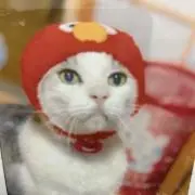 sabatoraの画像