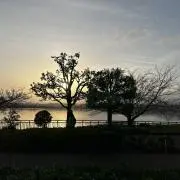 Ts Orangeの画像