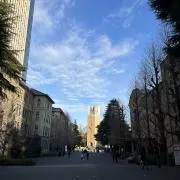 まーの画像
