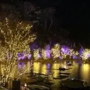もかりんの画像