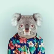たけのこ