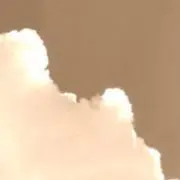 しらたまの画像