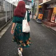 りの画像