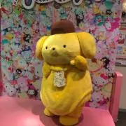 よっしーの画像