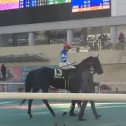 KAZUの画像