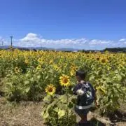 13時までの購入なら当日即発送します！の画像