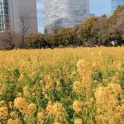 山田 長谷川