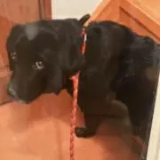 ルート