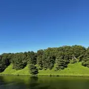 レイの画像