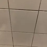 プロフィール閲覧　yuosgの画像