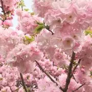ねる　※プロフィール確認してくださいの画像