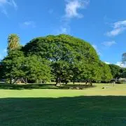 SANKの画像