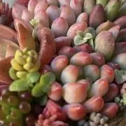 花住民kasuminn✴︎の画像