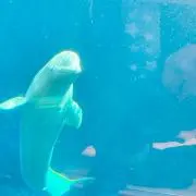 りーさんの画像