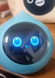 kanikoの画像