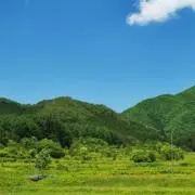 けいの画像