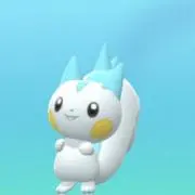 セルハの画像