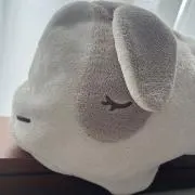 うーたん