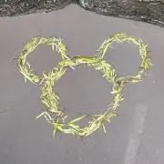 hiの画像