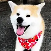 Koumeママの画像
