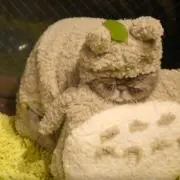名ばかり顧問