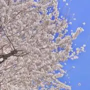 ひろ