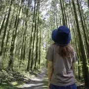 SHEROの画像
