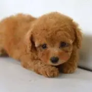 taki..の画像