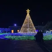 yyの画像