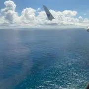 おかかの画像