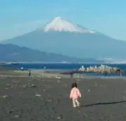 トモの画像