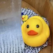 すぴかの画像