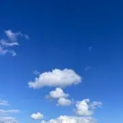 Mの画像