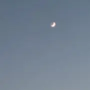 もち。の画像