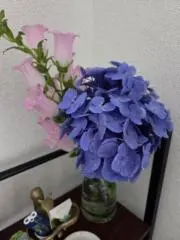 ひかりの画像