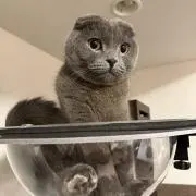 モリタ
