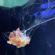 123456の画像