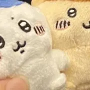 もの画像