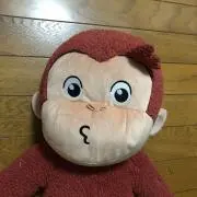 こうの画像
