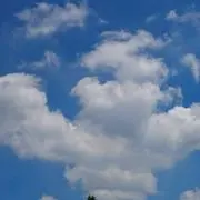 みぃの画像